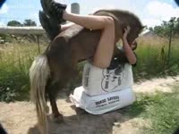 Zoo XXX - The guy turns his horse on